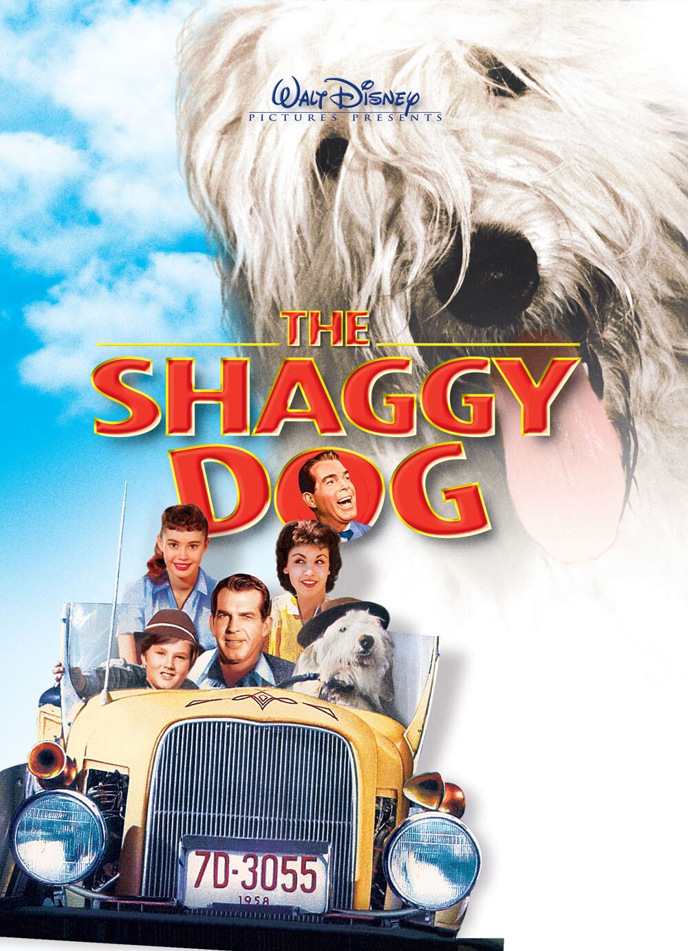 what kind of dog is shaggy da