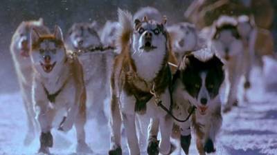 Snow Dogs Trailer