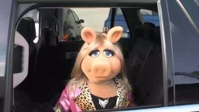 Miss Piggy @ the Drive Thru