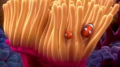 Video | Finding Nemo | Disney Movies