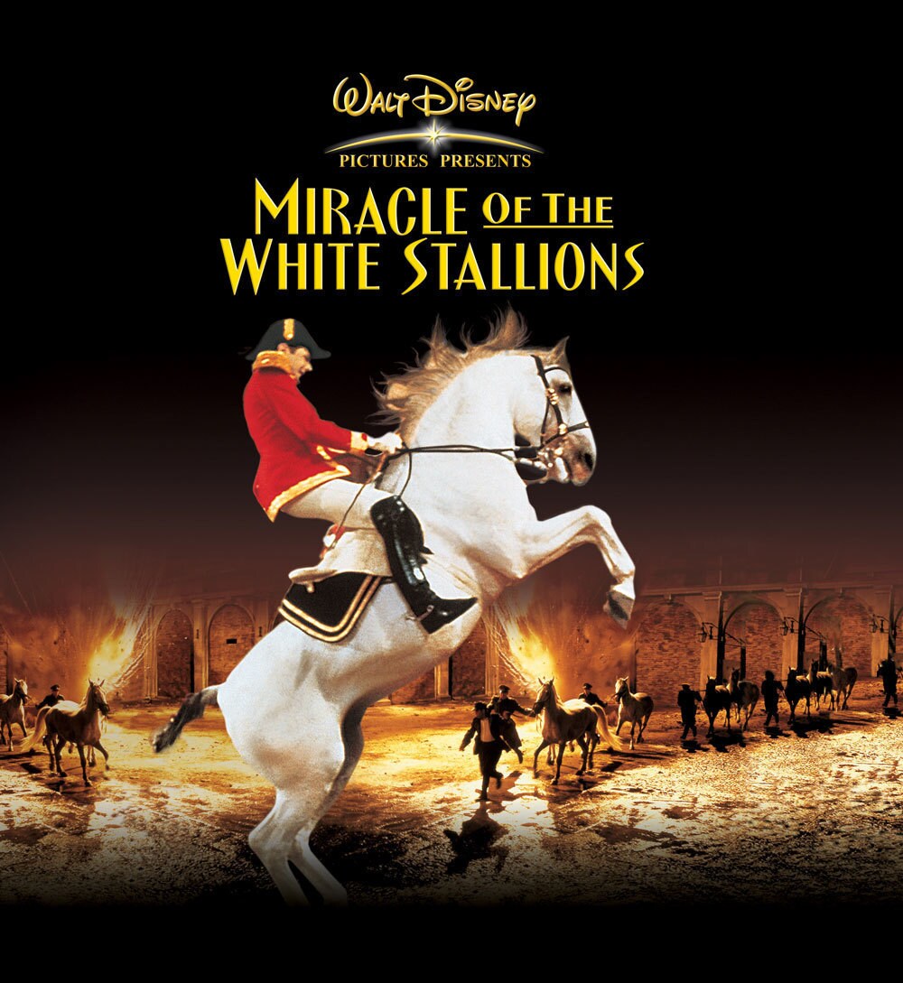 Useful Facts About the Remarkable Lipizzaner Horses in Florida 3 Miracle of the White Stallions | Disney Movies