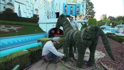 Disneyland Topiaries