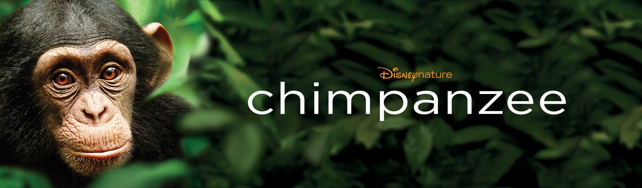 disney movies with chimpanzees