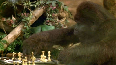 George Of The Jungle 2 Trailer George Of The Jungle 2 Trailer