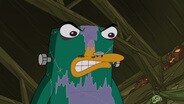 Monster of Phineas-N-Ferbenstein, The/ Oil On Candace