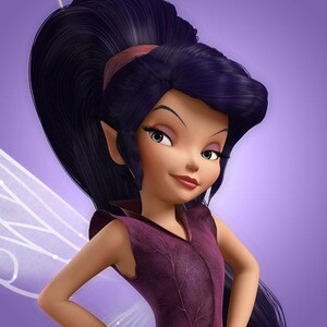 Vidia | Disney Fairies