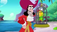 Captain Hook's Parrot / Skybird Island is Falling!