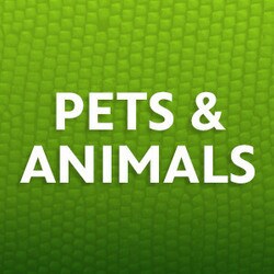 Pets and Animals