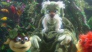 Roots Da Doots/ The Rare Nospotalotacus
