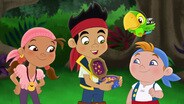 The Never Bloom! / Jake's Starfish Search