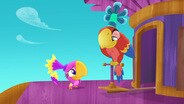 Birds of a Feather / Treasure Show and Tell!