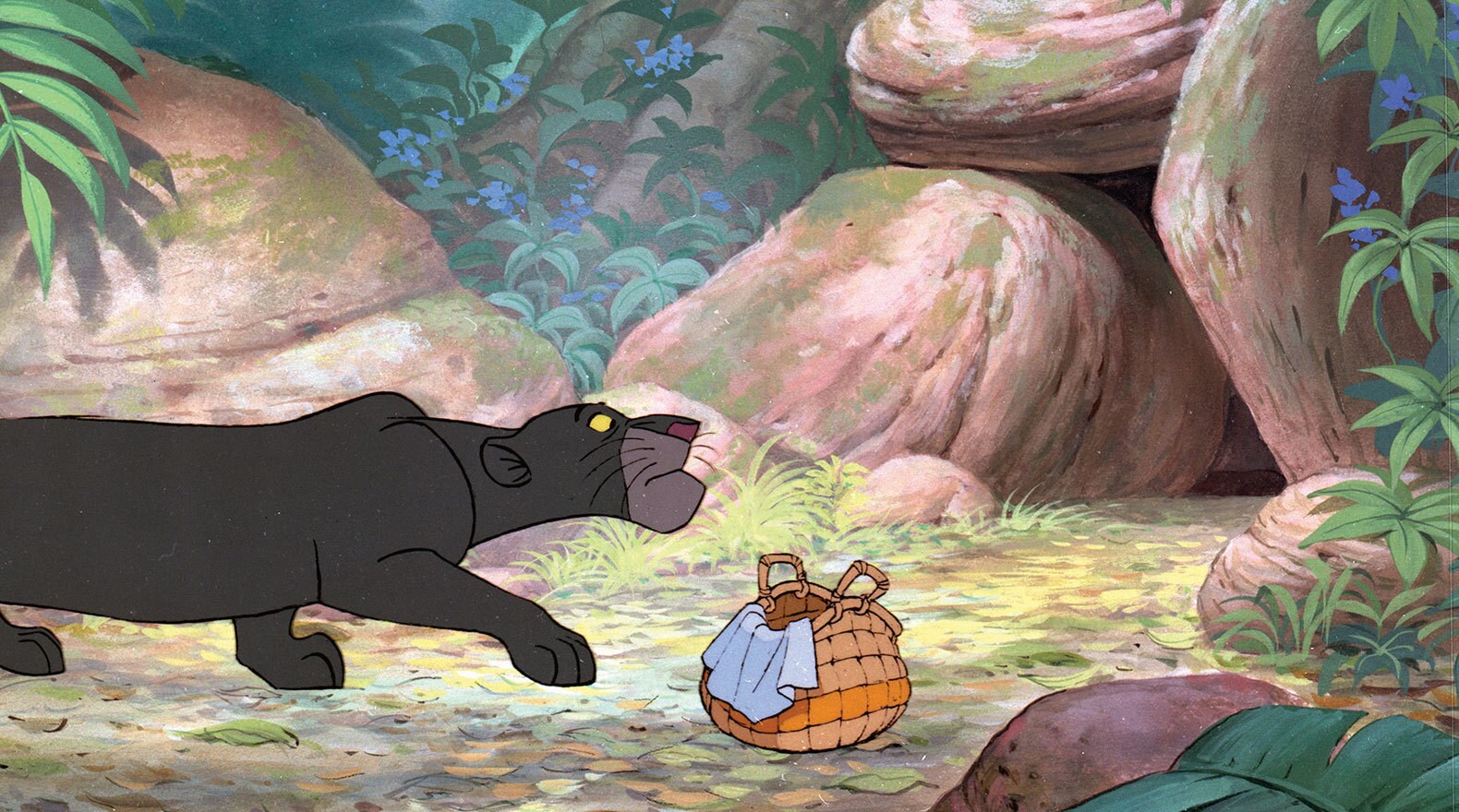 Bagheera hopes a family of wolves will adopt baby Mowgli. Bagheera (voice of Sebastian Cabot) from the Disney movie The Jungle Book (1967).