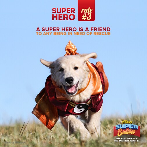 A super hero is a friend to any being in need of rescue