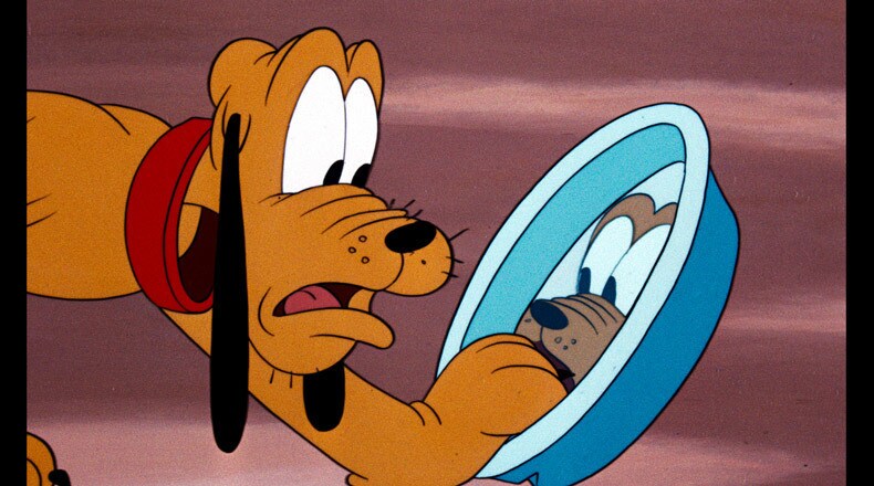 Pluto is shocked to find that his bone is missing from his dish.
