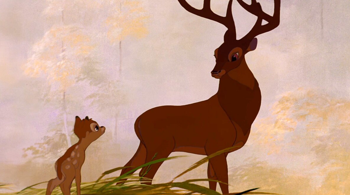 Bambi gets some advice from the Great Prince from the movie "Bambi"