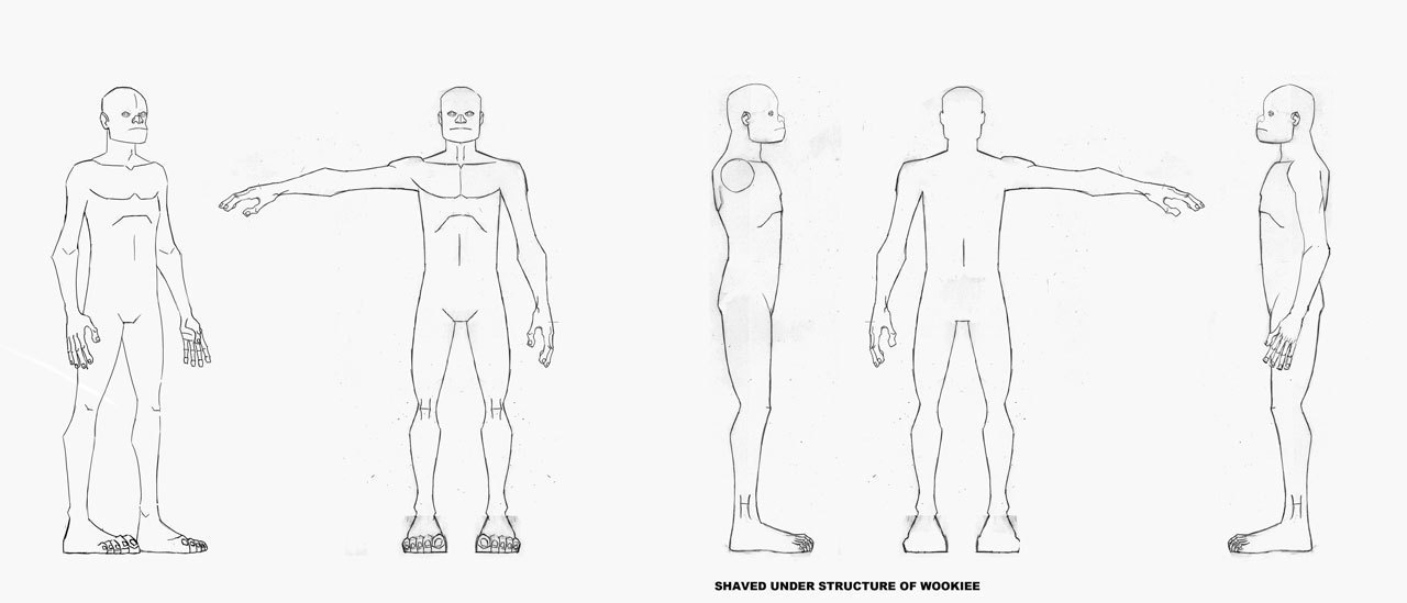 "Shaven Wookiee" anatomy design
