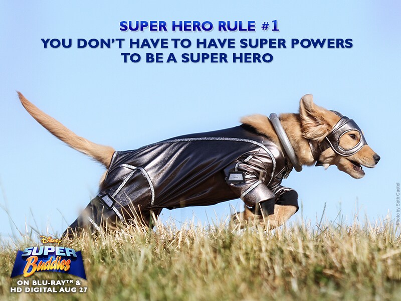 You don't have to have super powers to be a super hero.