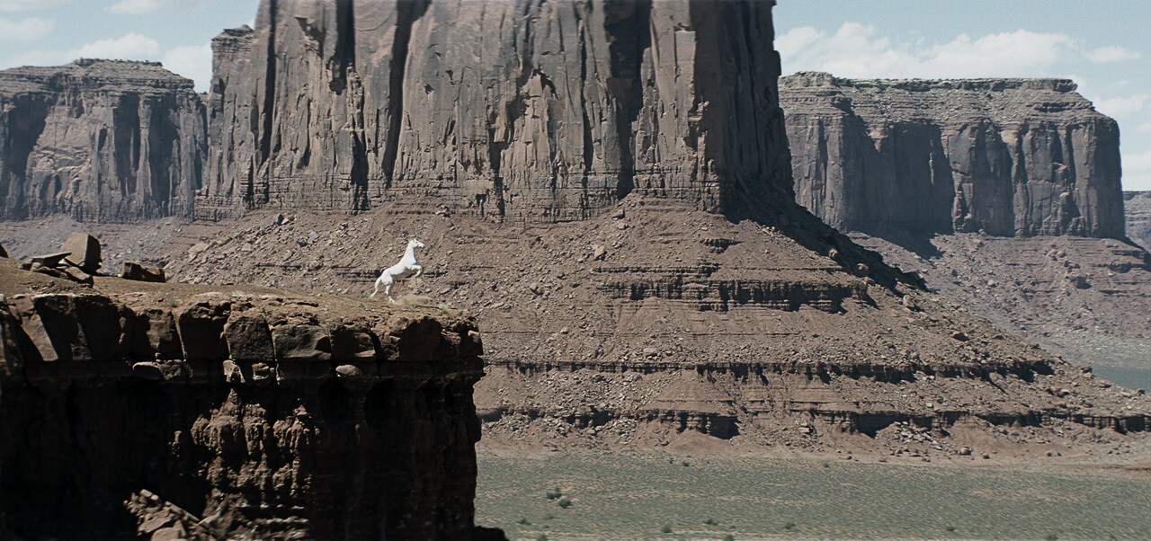 Image of Silver from the movie "The Lone Ranger"