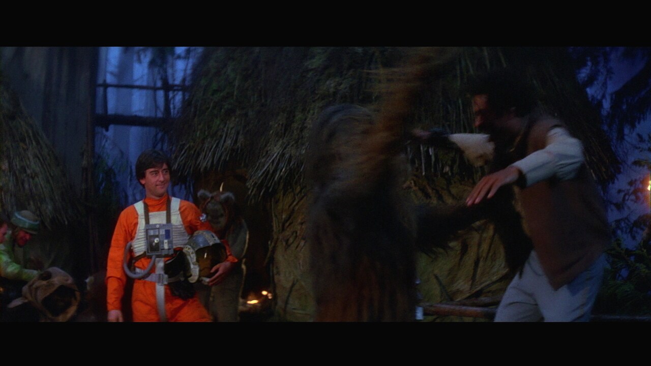 On Endor, Wedge joined the rebel pilots, commandos and Ewoks in celebrating the destruction of th...