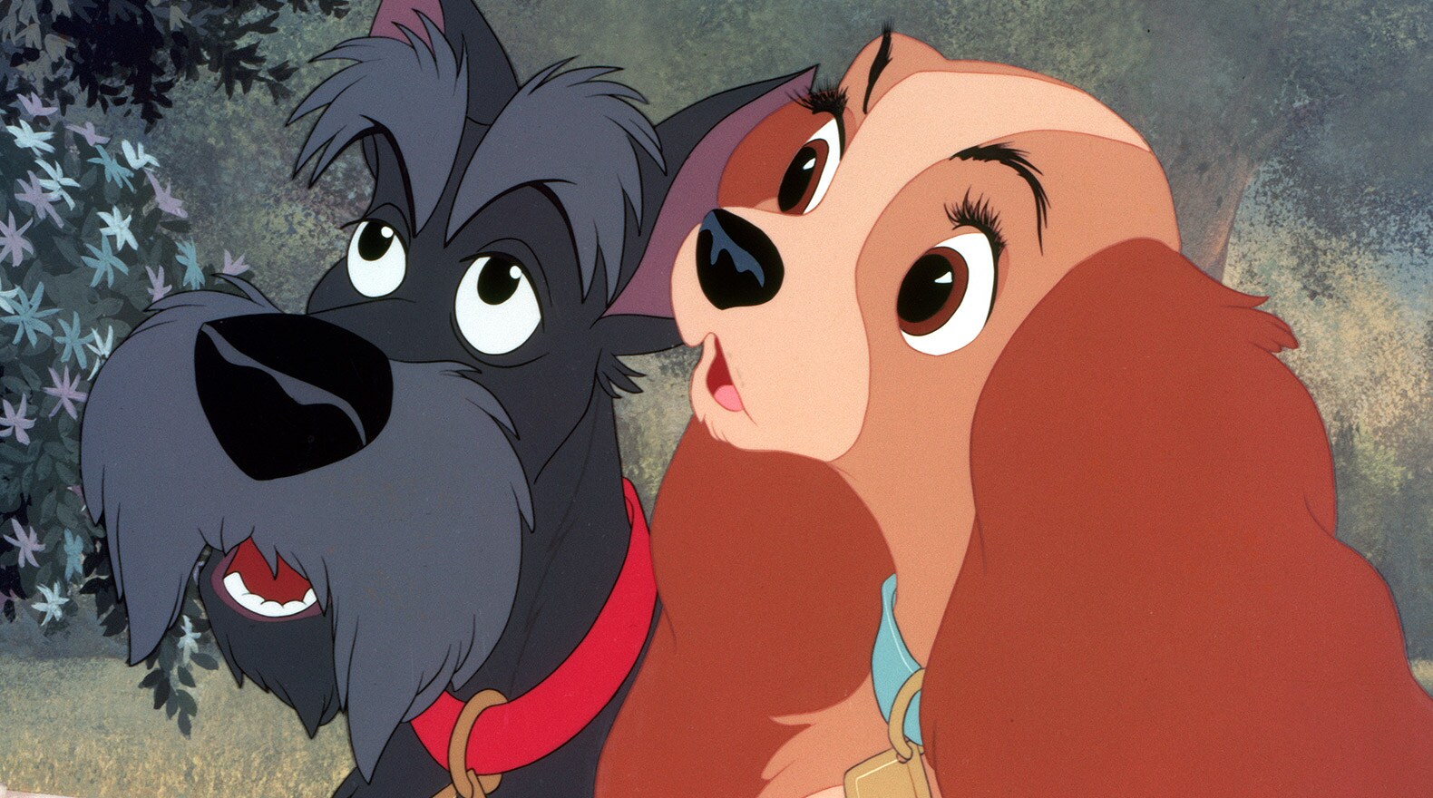 Lady and the Tramp Gallery | Disney Movies