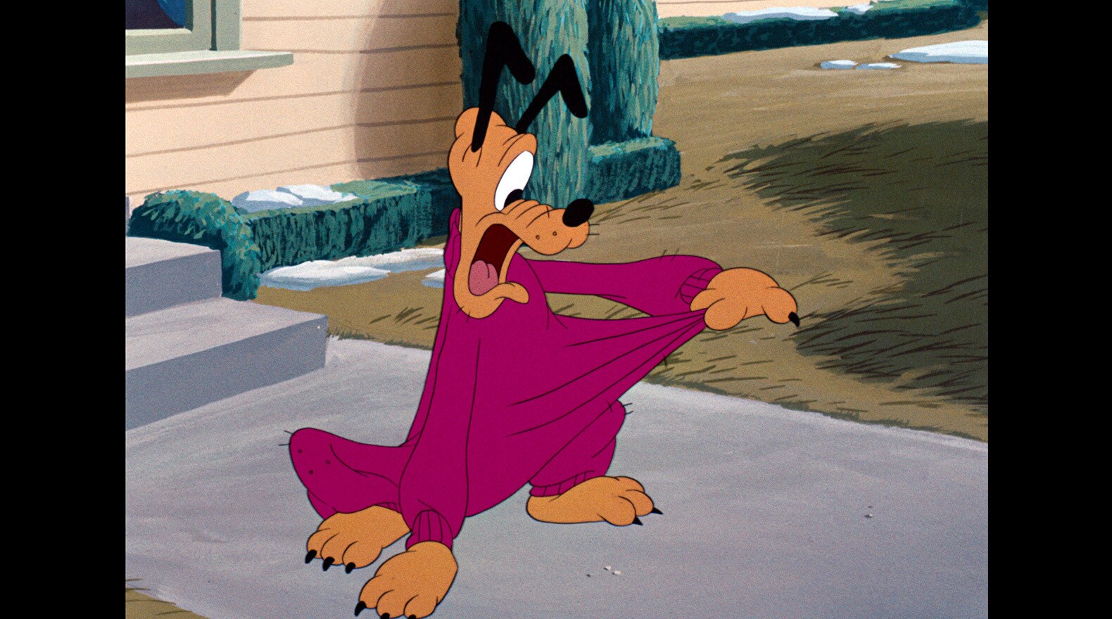 When Minnie knits Pluto a pink sweater, he can’t get rid of it.