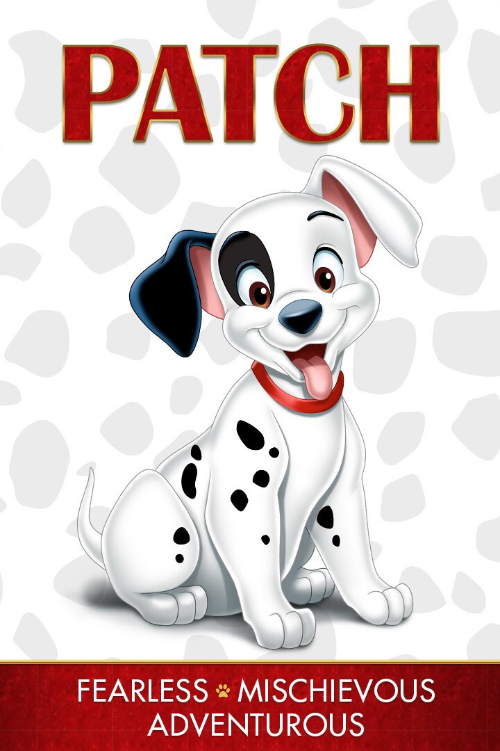 Meet Patch - Patch is the most mischievous of the puppies. He is playful and cute, but he can get...