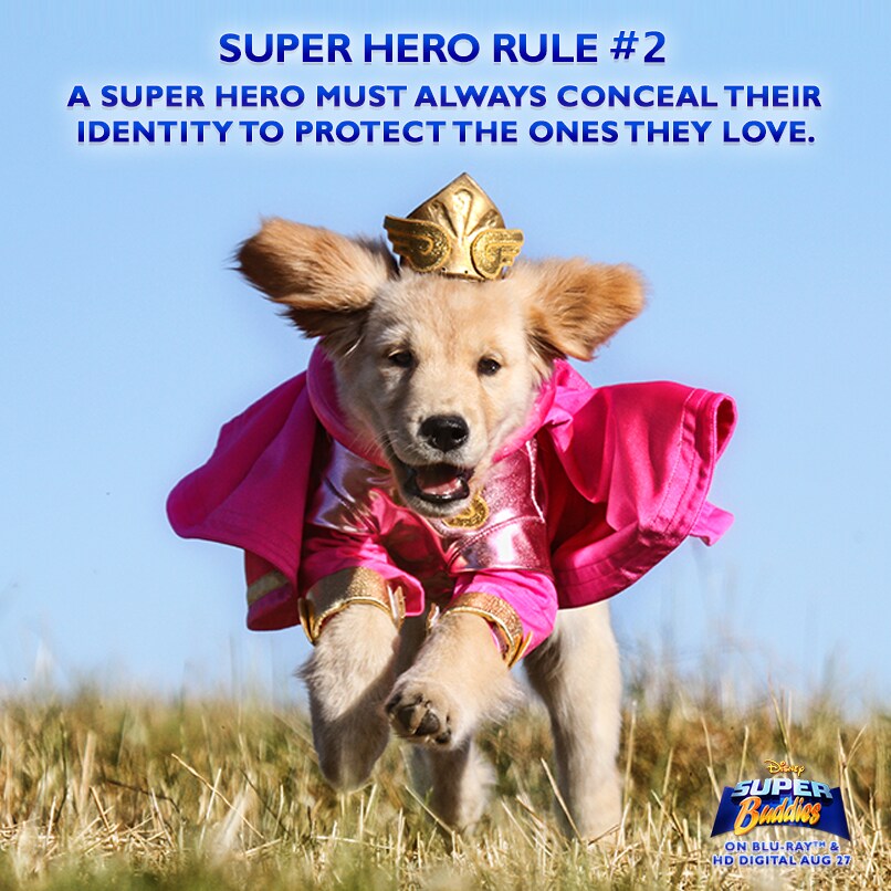 A super hero must always conceal their identity to protect the ones they love