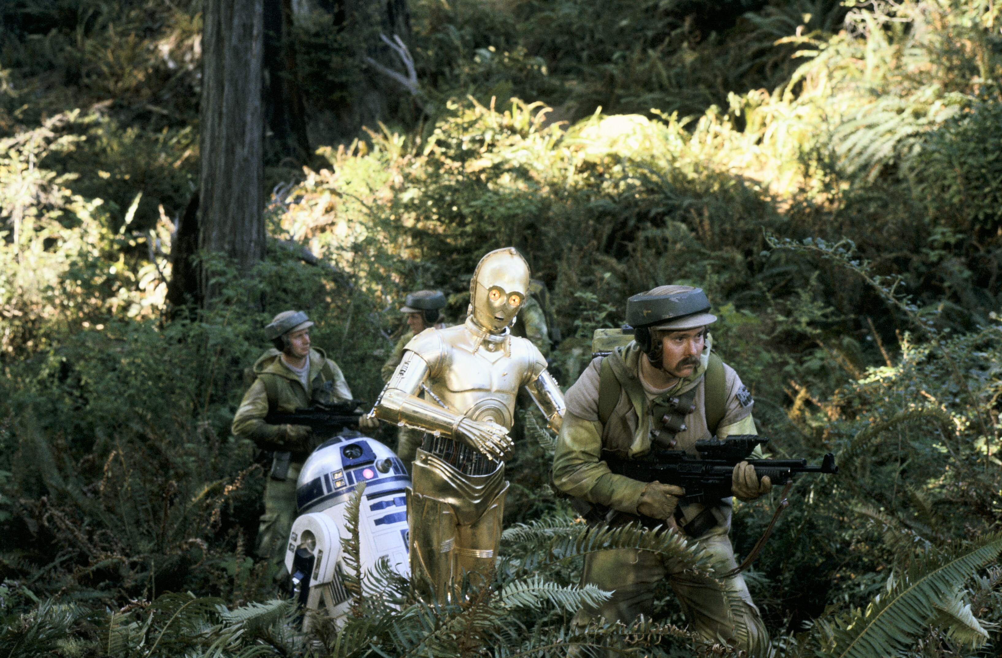 While the Alliance fleet prepared its attack, Han Solo led a commando team to the Forest Moon of ...