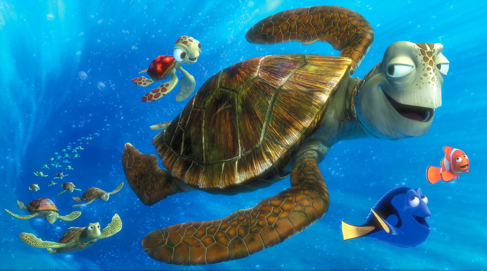 Characters Crush, Squirt, Dory and Marlin in the EAC with other turtles in "Finding Nemo"