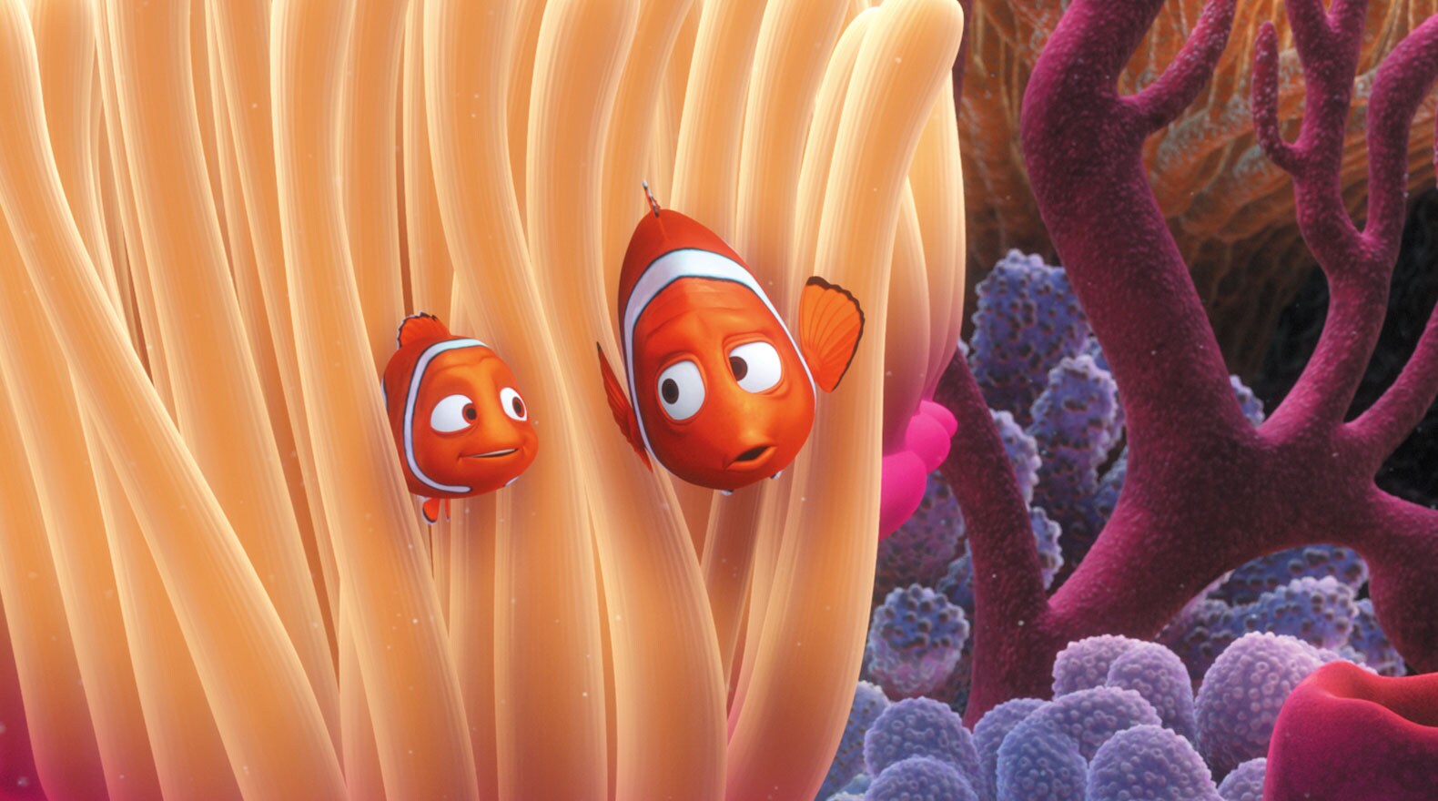 Finding Nemo instal