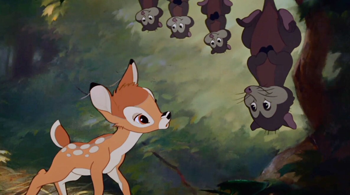 Bambi meets a family of Opossums.