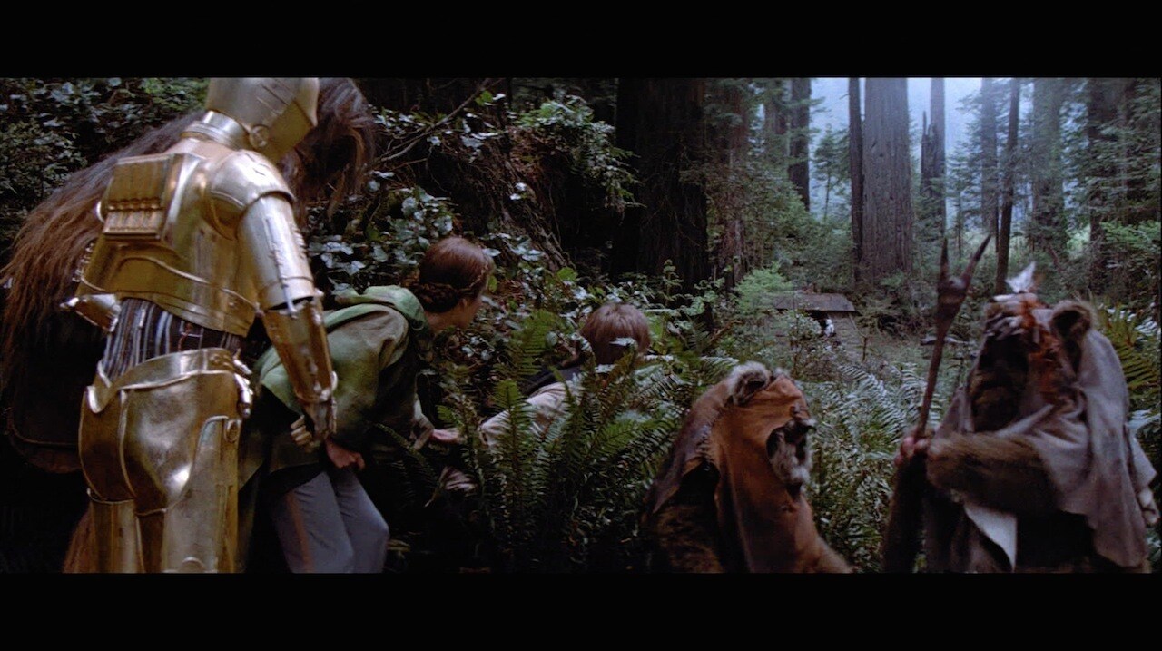 The Ewoks led the rebel commandos to the site of the bunker containing the shield generator – whi...