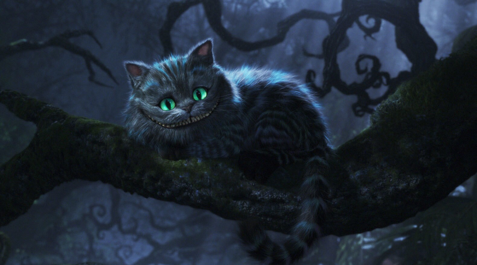 The Cheshire Cat