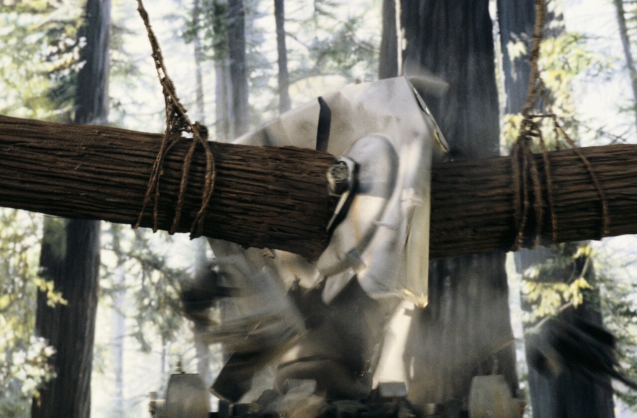 The Empire was wrong to take the Ewoks so lightly. The furry warriors knew their home forest and ...