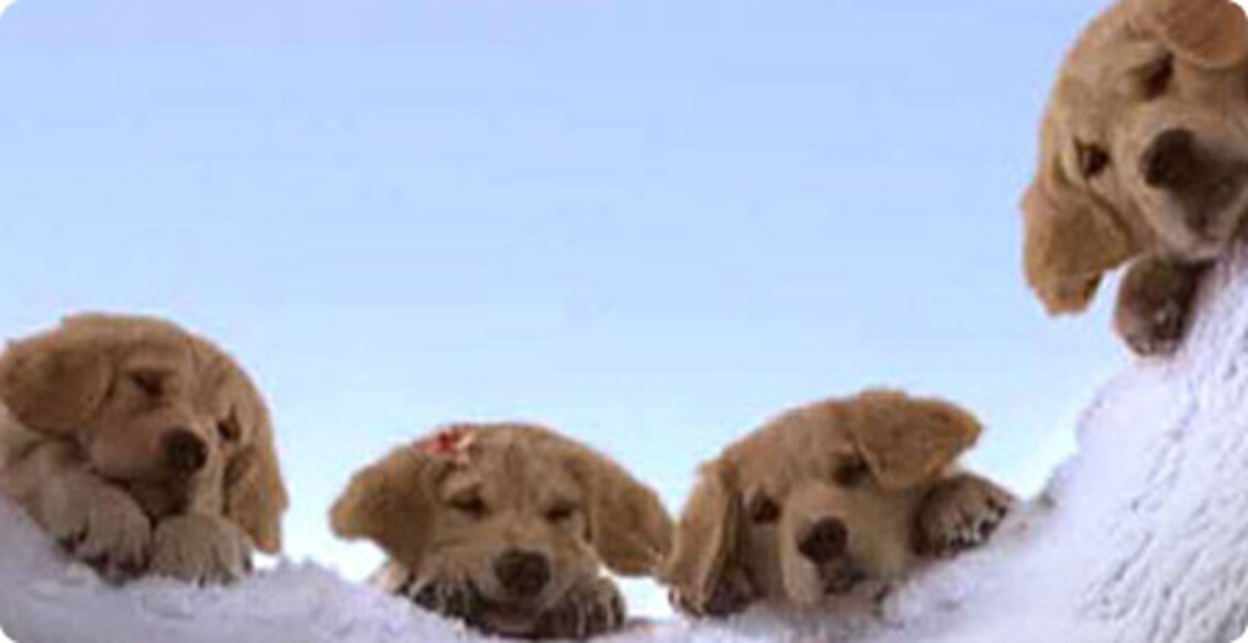 snow buddies budderball