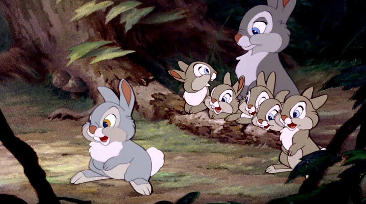 Thumper and the rest of the rabbits sees Bambi for the first time.
