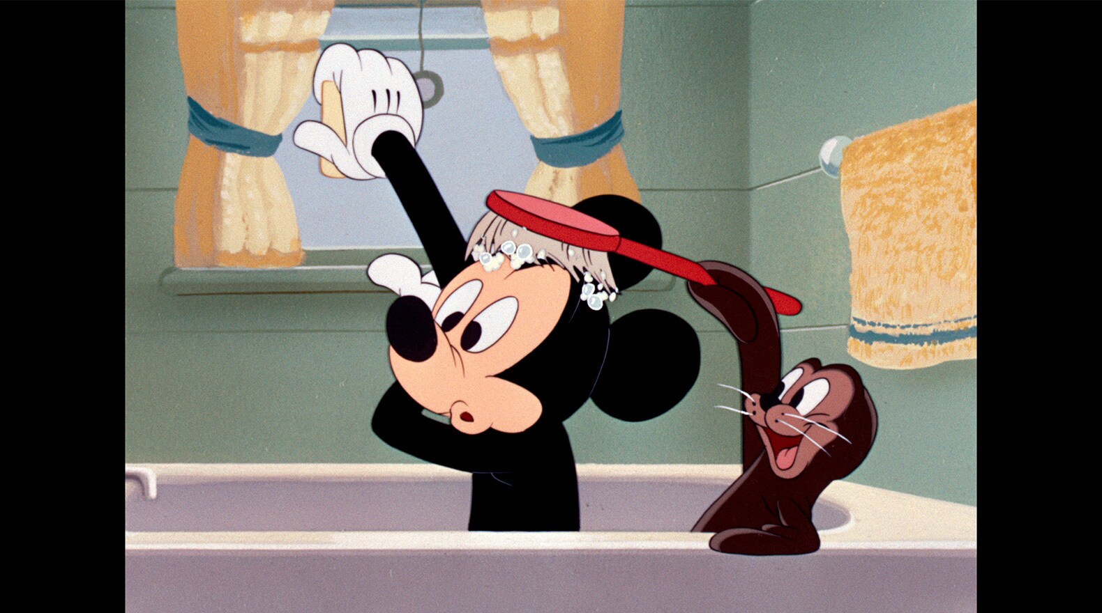 Mickey goes about his day, while accompanied by a seal that escaped from the zoo.