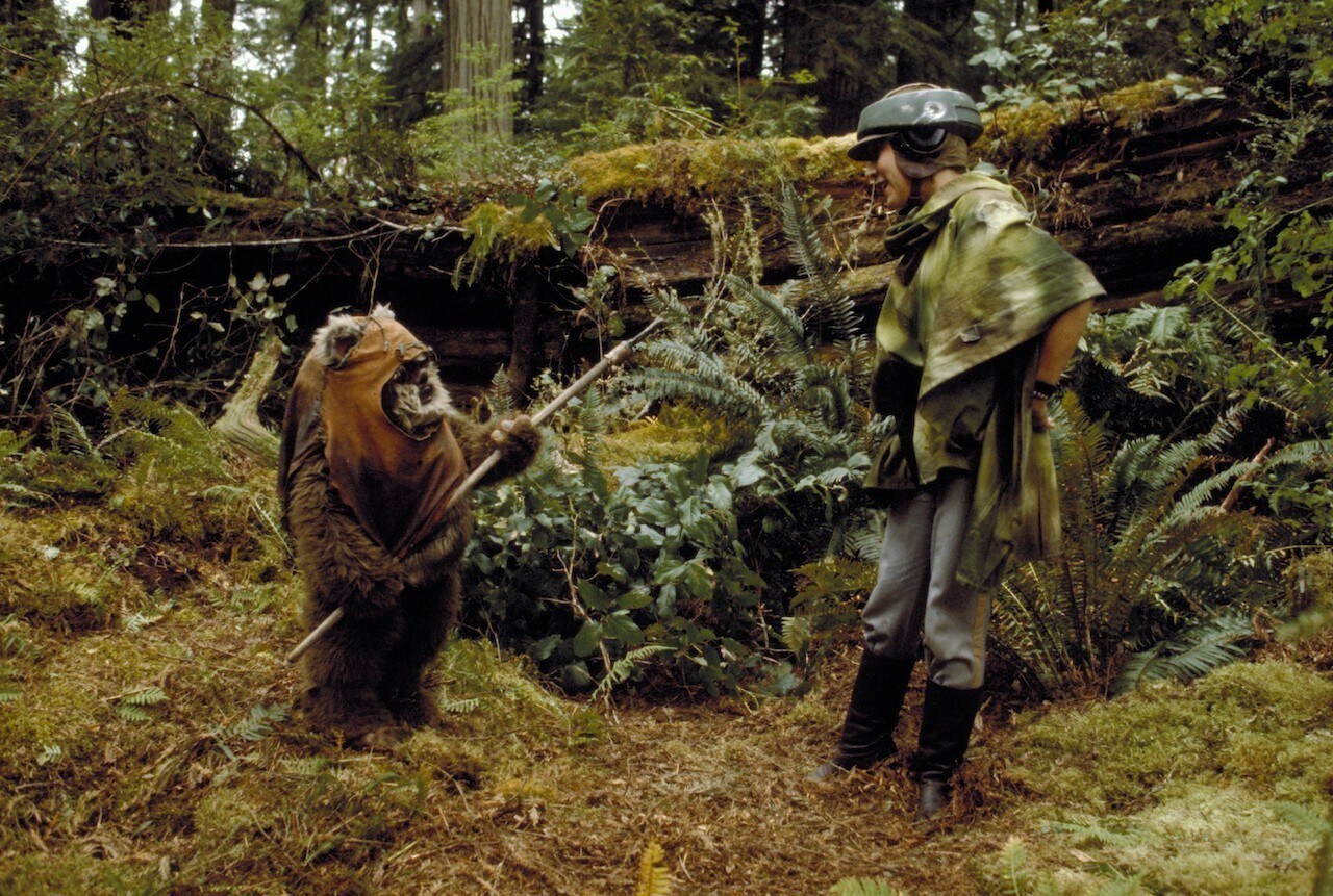 The first contact between rebels and Ewoks came when the Ewok scout Wicket discovered Princess Le...