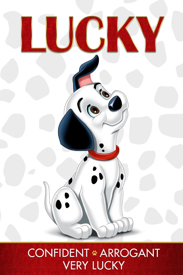 Meet Lucky - He is usually seen sitting in front of the television, and has a tendency to stand i...