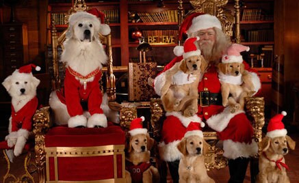 The full cast of Santa Buddies poses for a portrait.