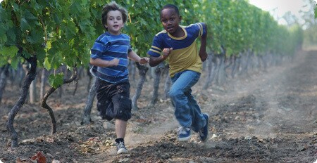Running through the vineyard.