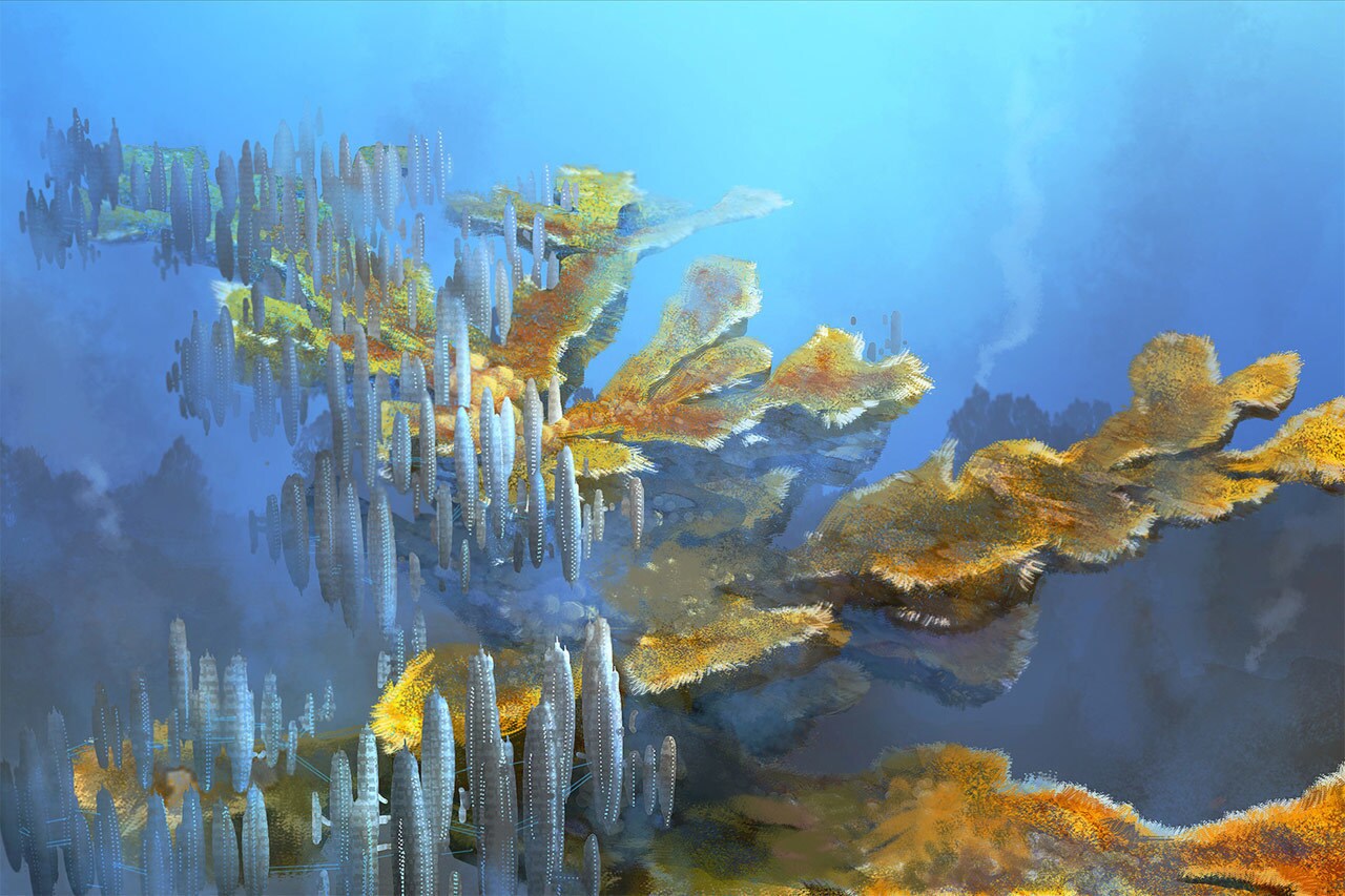 Mon Cala coral reef environment illustration.