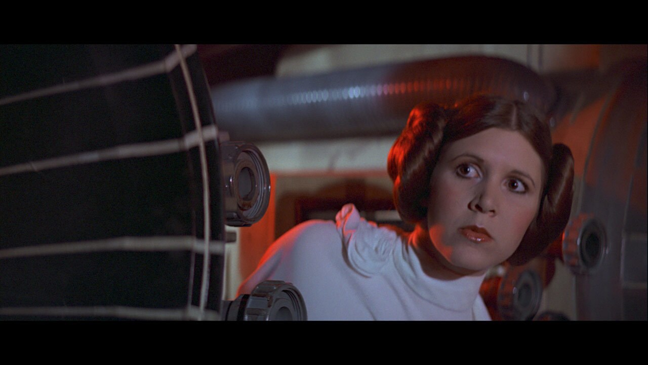 Leia followed in her adoptive father's footsteps and became one of the youngest Senators ever in ...
