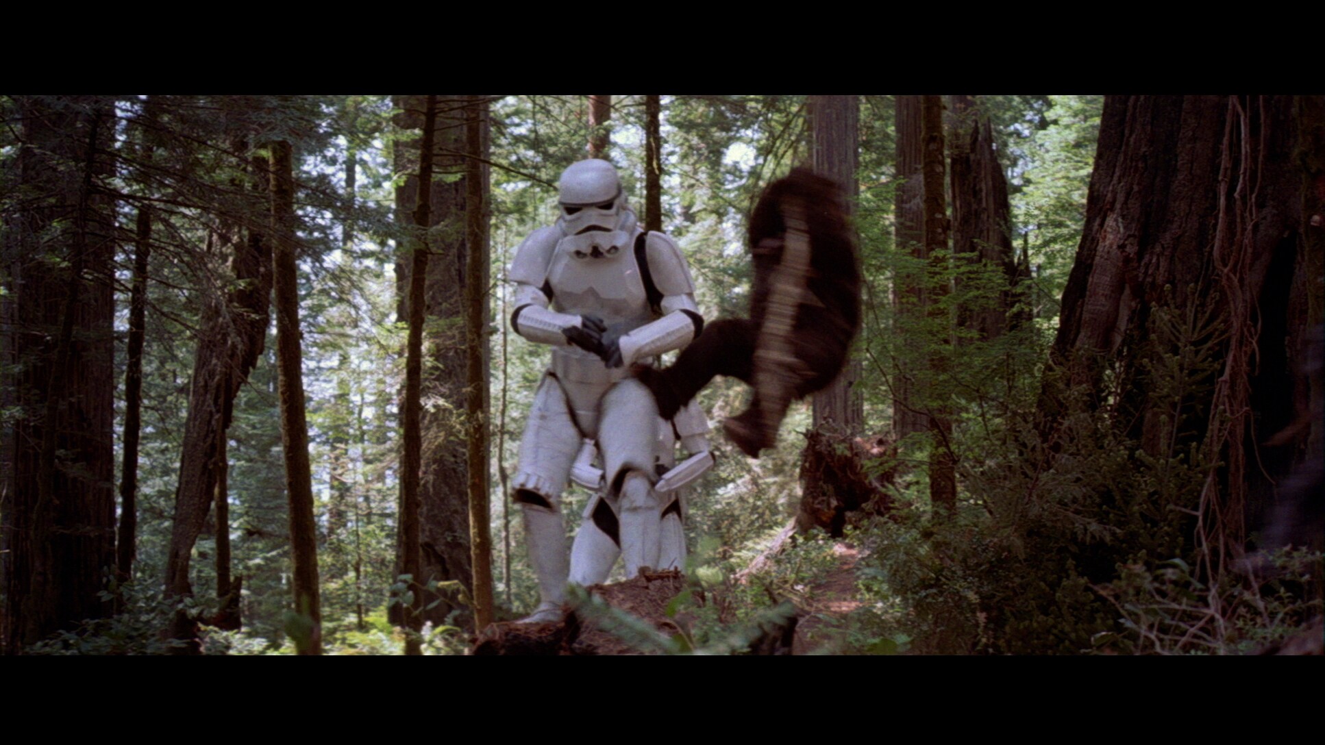 The stormtroopers considered the forest moon’s Ewoks of little consequence – how could diminutive...