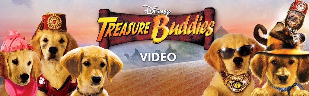Treasure Buddies Video Hero
