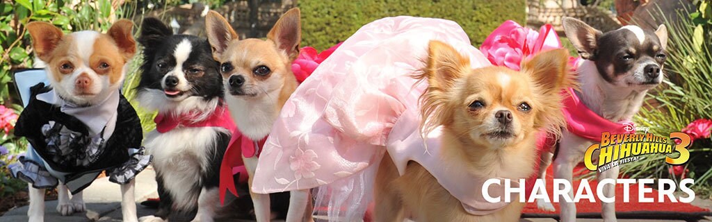 Beverly Hills Chihuahua 3 - Characters