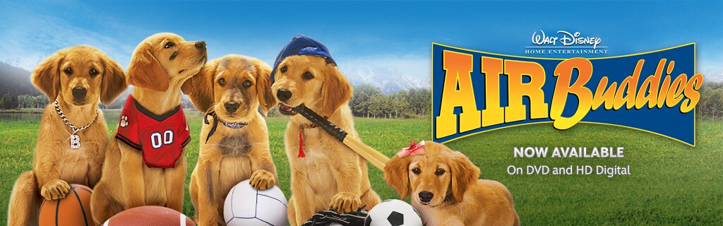 what happened to the puppies in air buddies