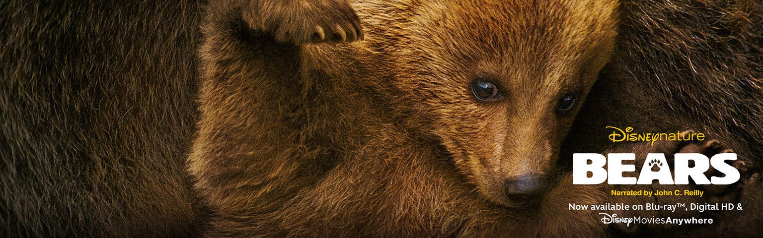 Bears - nature homepage - Now Available on BD and Digital HD
