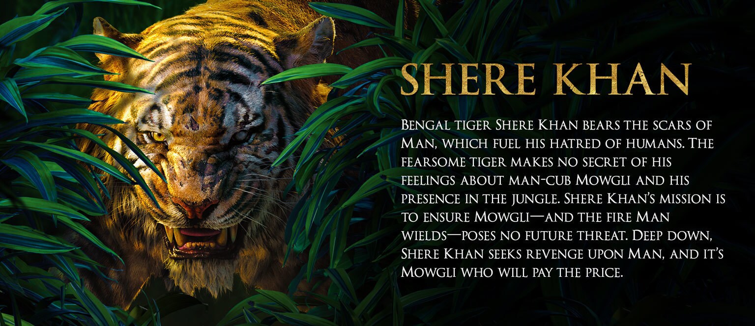 Kết quả hình ảnh cho shere khan jungle book fighting
