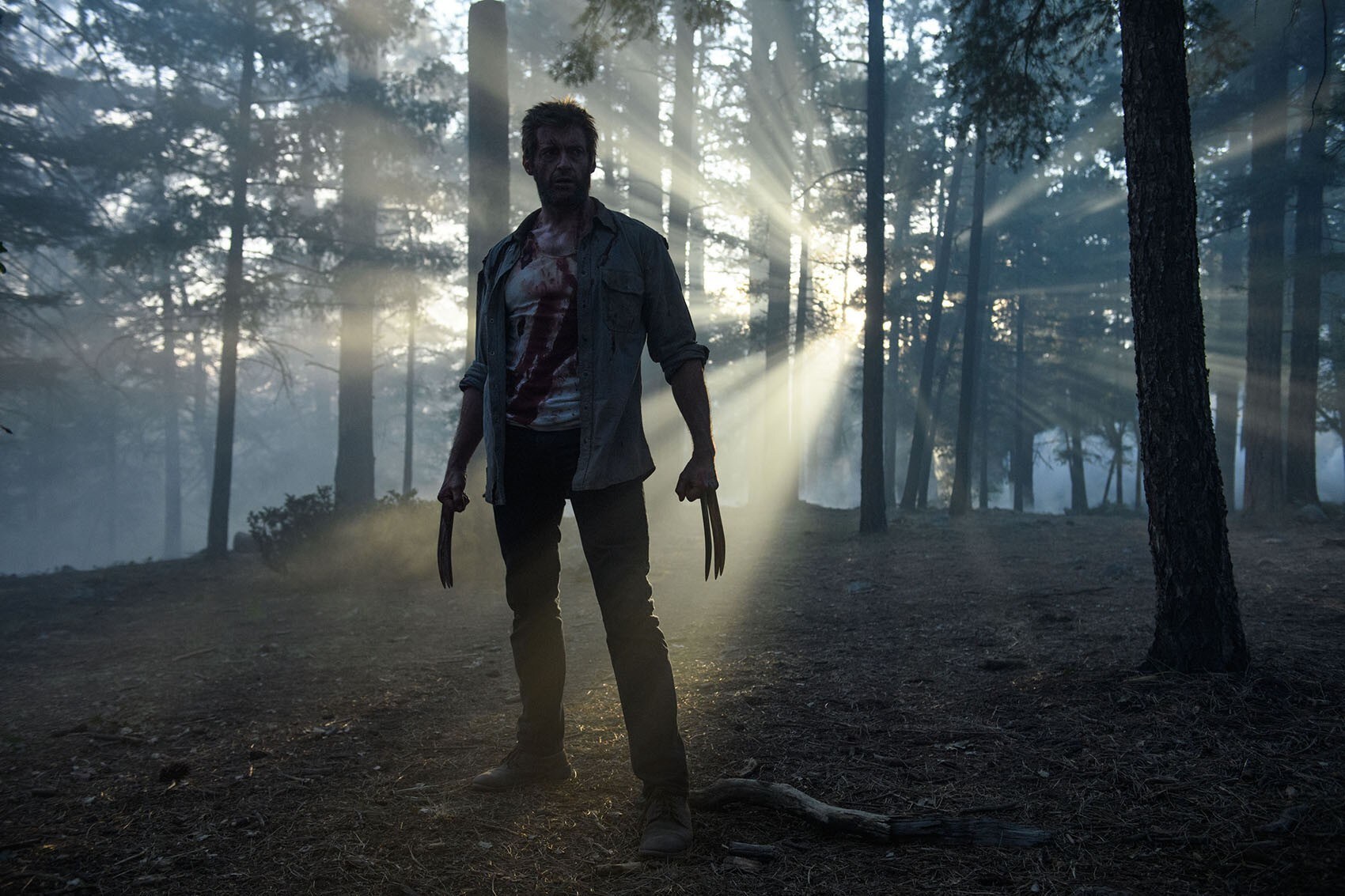 Wolverine Logan